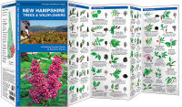 New Hampshire Trees & Wildflowers: A Folding Pocket Guide to Familiar Species
