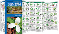 Ohio Trees & Wildflowers: A Folding Pocket Guide to Familiar Plants