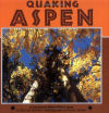 Quaking Aspen