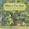 While a Tree Grew: The Story of Maryland's Wye Oak