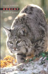 Bobcats: Master of Survival