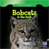 Bobcats in the Dark