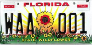 Florida state wildflower