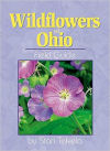 Wildflowers of Ohio Field Guide