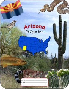 Arizona School Report Cover