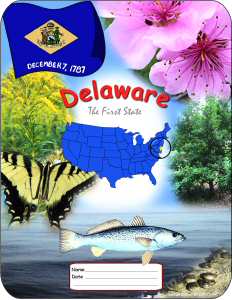 Delaware School Report Cover