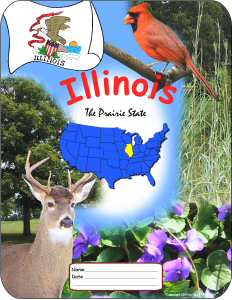 Illinois School Report Cover