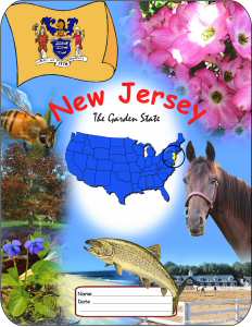 New Jersey School Report Cover